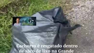 Photo of VÍDEO: Cachorro é resgatado dentro de saco de lixo em SC