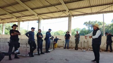 Photo of Curso de Cinotecnia Policial reúne participantes dos três estados do Sul