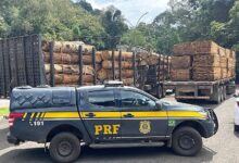 Photo of Quase 30 toneladas de excesso são flagradas em dois veículos na BR-153 em Concórdia