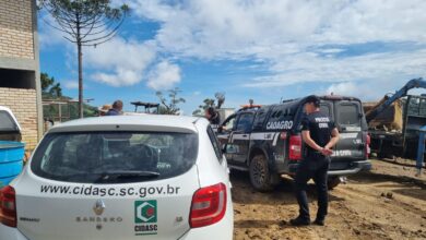 Photo of CAOAGRO: Fiscalização conjunta identifica graves irregularidades em rebanho bovino