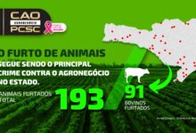Photo of Caoagro da Polícia Civil apresenta mapa da criminalidade de 2023