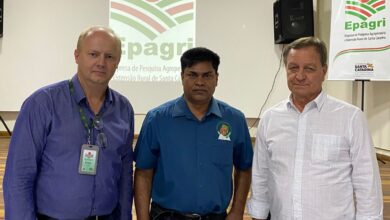Photo of Tecnologia catarinense para produção de arroz será levada para a Guiana