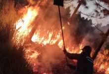 Photo of Depois de 19 horas incêndio na maior unidade de conservação de SC é extinto