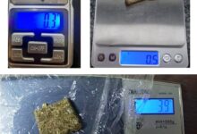 Photo of Três ocorrências de posse de drogas registradas em Concórdia neste domingo