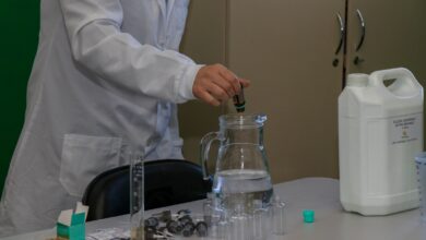 Photo of Empreendedorismo é trabalhado com alunos da Rede Municipal de Ensino