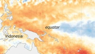 Photo of El Niño está chegando e afetará clima em SC