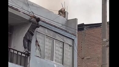 Photo of Rapaz em situação de rua resgata 27 cães de incêndio em prédio: ‘O último me mordeu’