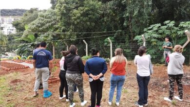 Photo of Programa Novos Caminhos incentiva leitura e produção de hortaliças