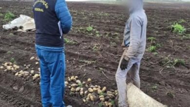 Photo of Trabalhadores são flagrados pela PF em situação análoga à escravidão em SC e no PR