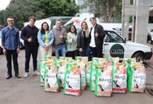 Photo of Prefeitura recebe mais uma doação de ração para pets