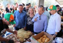 Photo of 36ª edição da Fenal recebeu 250 equipes e 12 foram premiadas