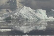 Photo of Nível de gelo no mar da Antártica atinge menor nível da história, alerta ONU