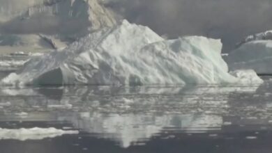 Photo of Nível de gelo no mar da Antártica atinge menor nível da história, alerta ONU