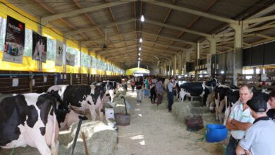 Photo of Aberto oficialmente o setor do Agronegócio da Expo Concórdia 2023