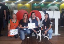 Photo of NAPA teve 20 animais adotados durante a Efapi 2023