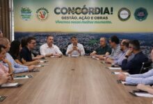 Photo of Prefeitura lança programação do Natal Concórdia 2023. Abertura será neste sábado