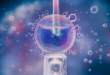 Photo of Teste promete aumentar o sucesso da fertilização in vitro, mas é ineficaz; Entenda