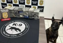 Photo of Cerca de R$ 1 milhão em drogas são apreendidas em carreta no Oeste de SC