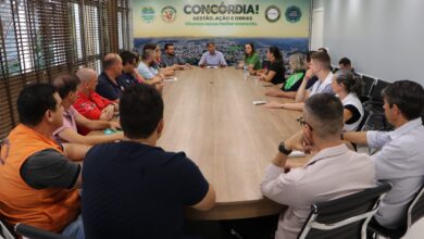 Photo of Mutirão contra a dengue acontece no próximo sábado, em Concórdia