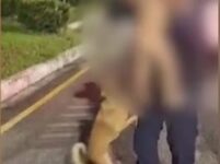 Photo of Bebê com menos de 2 anos foge de casa com cachorro caramelo