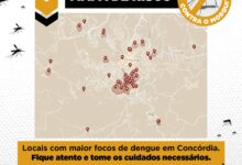 Photo of Dengue: Concórdia registra 80 casos positivos e novo mutirão deve acontecer no Nações