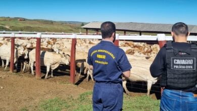 Photo of FAESC avalia de forma positiva atuação do Caoagro no combate ao crime no agronegócio
