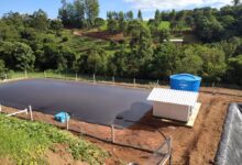 Photo of Governo de SC já destinou mais de R$ 107 milhões em políticas públicas para agricultura neste ano