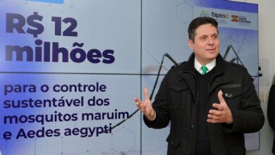 Photo of Governo de SC concede R$ 12 milhões para estudo de controle dos mosquitos maruim e Aedes aegypti