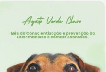 Photo of Governo do Estado promove evento sobre conscientização e prevenção de zoonoses