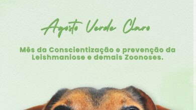 Photo of Governo do Estado promove evento sobre conscientização e prevenção de zoonoses