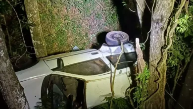 Photo of Homem morre após carro sair da pista e bater em árvore na SC-283