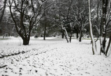 Photo of Lages pode registrar neve no fim de semana