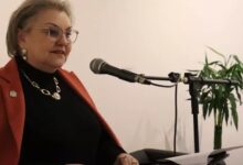 Photo of COLUNA PELO ESTADO – Novos ares para cultura catarinense