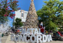 Photo of Abertura de Natal neste sábado com chegada do Papai Noel e espetáculo circense