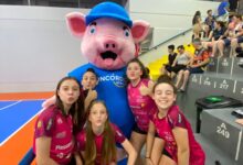 Photo of Mascote dos Jogos Abertos visita locais de competição