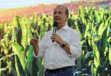 Photo of Safra Garantida SC: Governo do Estado investe R$ 84 milhões para proteger agricultores familiares