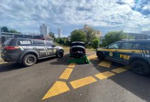 Photo of Veículo é interceptado com mais de 220 kg de drogas em Chapecó
