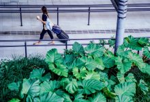 Photo of Santa Catarina tem crescimento de 71% no número de turistas internacionais em 2024