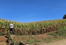 Photo of Sicoob e Epagri promovem Giro da Safra no Oeste de SC