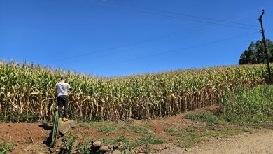 Photo of Sicoob e Epagri promovem Giro da Safra no Oeste de SC