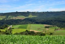 Photo of Programas de apoio direto ao produtor rural terão aumento de 28% em 2025