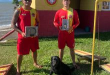 Photo of Corpo de Bombeiros Militar investe em novo GPS para aprimorar trabalho com cães de busca e resgate