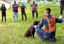 Photo of Prefeitura e Unochapecó promovem curso inédito no país de Pós-Graduação em Cinotecnia Policial