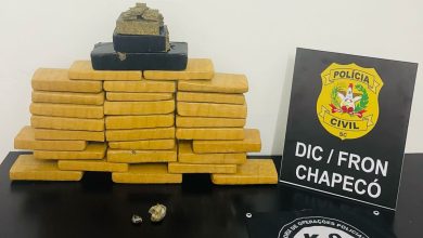 Photo of Polícia apreende mais de 15 quilos de maconha em apartamento de Chapecó