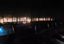 Photo of Incêndio destrói chiqueiro com 2 mil porcos no Oeste de SC