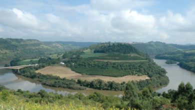 Photo of Oeste ganha programa de restauração de áreas em propriedades rurais com benefícios financeiros aos agricultores