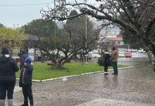 Photo of Primeira neve do ano é registrada em Santa Catarina nesta quinta