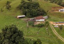 Photo of Governo de SC injeta mais de R$ 20,5 milhões para fortalecer a agricultura familiar