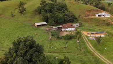 Photo of Governo de SC injeta mais de R$ 20,5 milhões para fortalecer a agricultura familiar