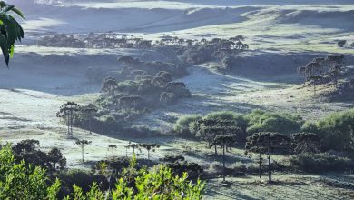 Photo of Santa Catarina pode registrar a primeira neve de 2025 nesta semana
